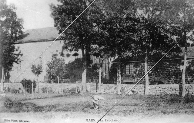 7151-12.jpg