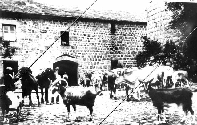 7151-35.jpg