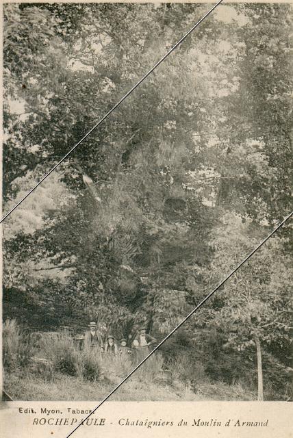 7192-86.jpg