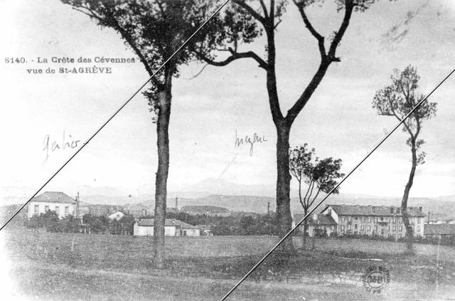 7204-161.jpg