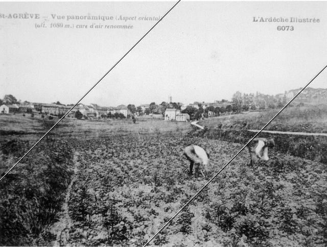 7204-172.jpg