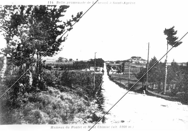 7204-179.jpg
