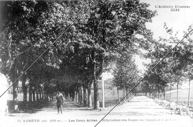 7204-182.jpg