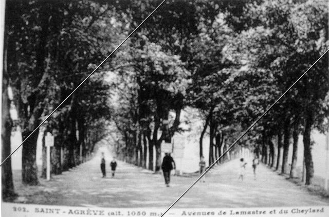 7204-186.jpg