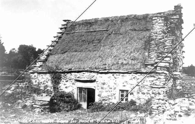 7204-289.jpg