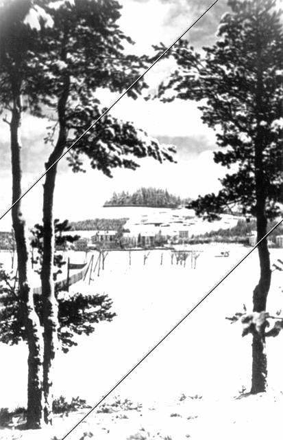 7204-304.jpg