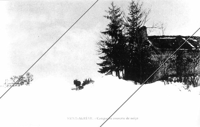 7204-305.jpg