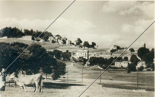 7204-31.jpg