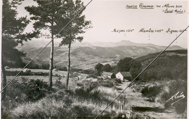 7204-359.jpg