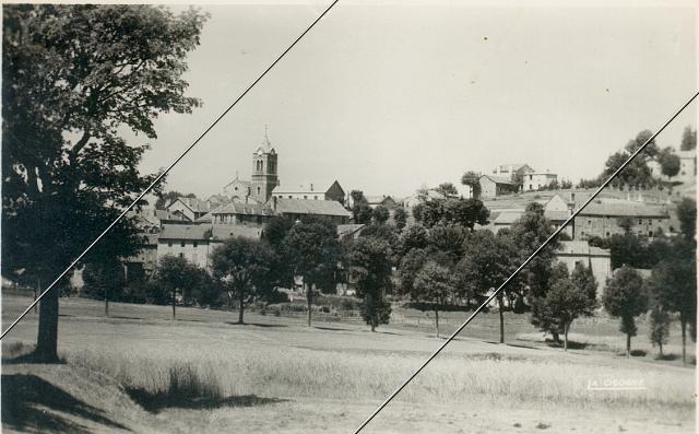 7204-39.jpg