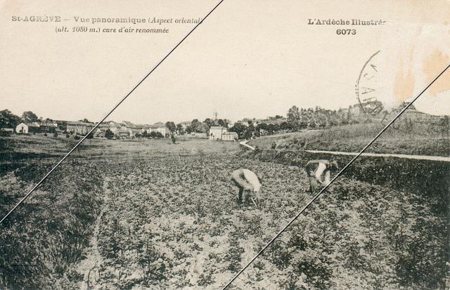 7204-398.jpg