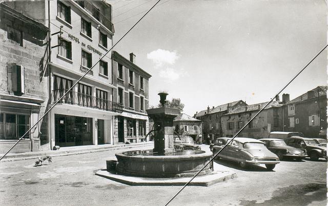 7204-514.jpg