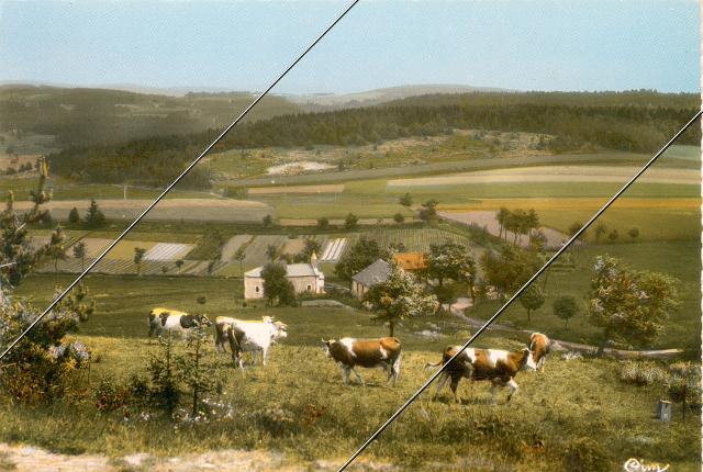 7204-54.jpg
