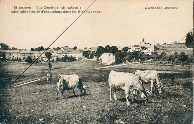 7204-684.jpg