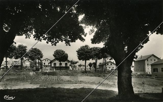 7204-812.jpg