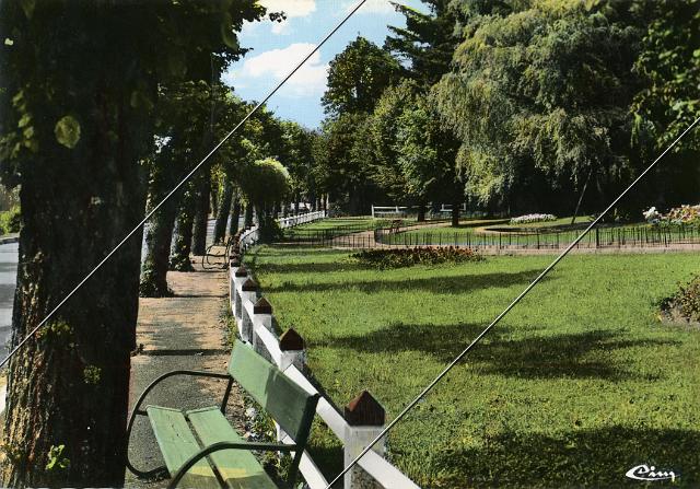 7204-815.jpg