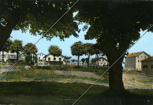 7204-826.jpg
