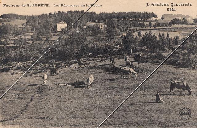 7204-838.jpg