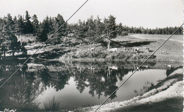 7212-08.jpg