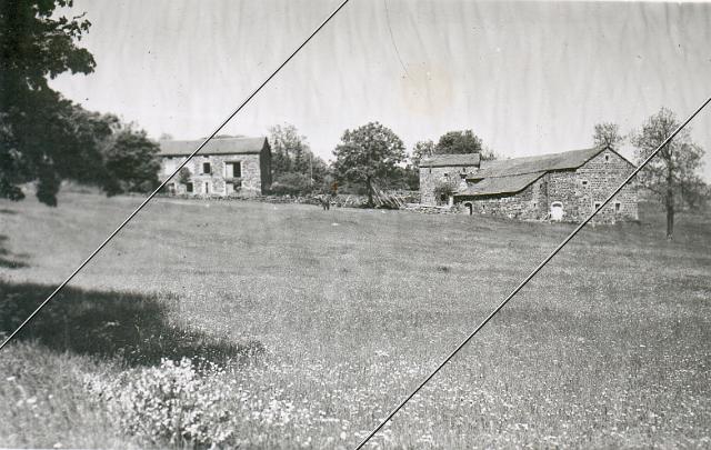 43199-25.jpg